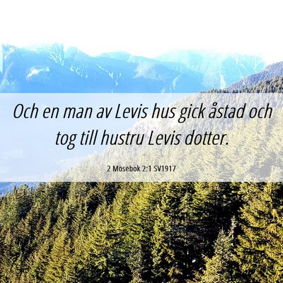 Picture 06 - 2 Mosebok 2:1 SV1917 - Och en man av Levis hus gick åstad och tog till - Bible Verse Picture