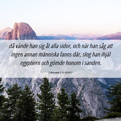 Picture 06 - 2 Mosebok 2:12 SV1917 - då vände han sig åt alla sidor, och när han - Bible Verse Picture