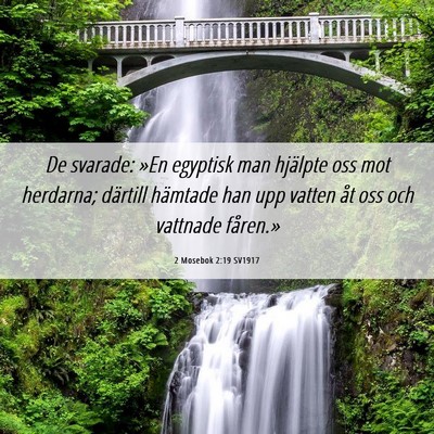 Picture 06 - 2 Mosebok 2:19 SV1917 - De svarade: »En egyptisk man hjälpte oss mot - Bible Verse Picture