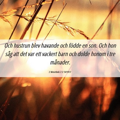 Picture 06 - 2 Mosebok 2:2 SV1917 - Och hustrun blev havande och födde en son. Och - Bible Verse Picture