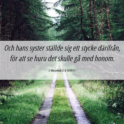 Picture 06 - 2 Mosebok 2:4 SV1917 - Och hans syster ställde sig ett stycke - Bible Verse Picture