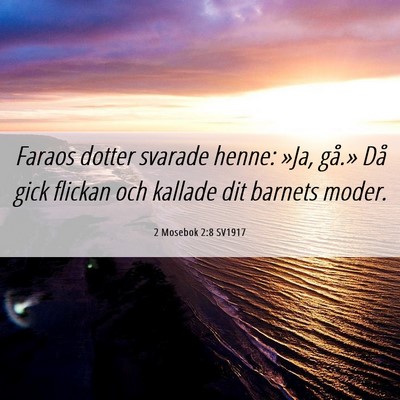 Picture 06 - 2 Mosebok 2:8 SV1917 - Faraos dotter svarade henne: »Ja, gå.» Då - Bible Verse Picture
