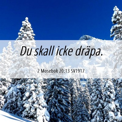 Picture 06 - 2 Mosebok 20:13 SV1917 - Du skall icke - Bible Verse Picture