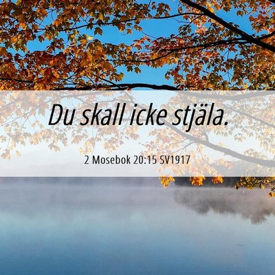 Picture 06 - 2 Mosebok 20:15 SV1917 - Du skall icke - Bible Verse Picture