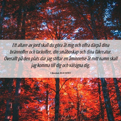 Picture 06 - 2 Mosebok 20:24 SV1917 - Ett altare av jord skall du göra åt mig och - Bible Verse Picture