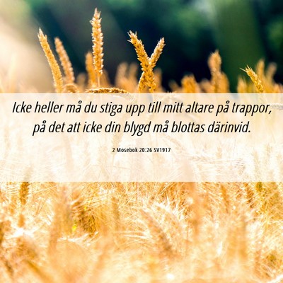 Picture 06 - 2 Mosebok 20:26 SV1917 - Icke heller må du stiga upp till mitt altare på - Bible Verse Picture
