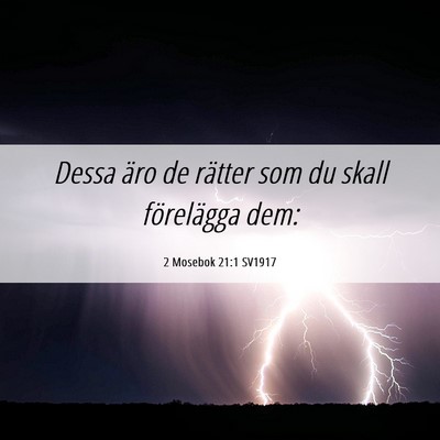 Picture 06 - 2 Mosebok 21:1 SV1917 - Dessa äro de rätter som du skall förelägga - Bible Verse Picture