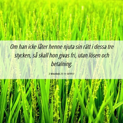 Picture 06 - 2 Mosebok 21:11 SV1917 - Om han icke låter henne njuta sin rätt i dessa - Bible Verse Picture
