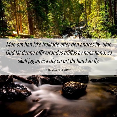Picture 06 - 2 Mosebok 21:13 SV1917 - Men om han icke traktade efter den andres liv, - Bible Verse Picture