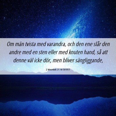 Picture 06 - 2 Mosebok 21:18 SV1917 - Om män tvista med varandra, och den ene slår - Bible Verse Picture