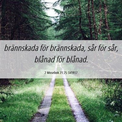Picture 06 - 2 Mosebok 21:25 SV1917 - brännskada för brännskada, sår för sår, - Bible Verse Picture