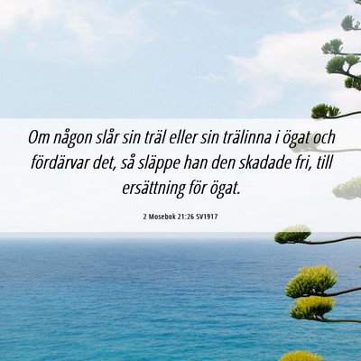 Picture 06 - 2 Mosebok 21:26 SV1917 - Om någon slår sin träl eller sin trälinna i - Bible Verse Picture