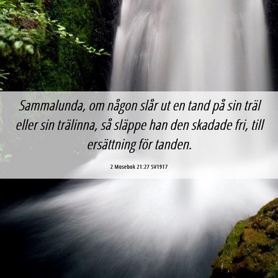 Picture 06 - 2 Mosebok 21:27 SV1917 - Sammalunda, om någon slår ut en tand på sin - Bible Verse Picture
