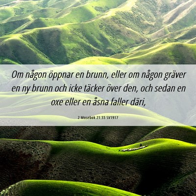 Picture 06 - 2 Mosebok 21:33 SV1917 - Om någon öppnar en brunn, eller om någon - Bible Verse Picture