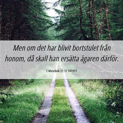 Picture 06 - 2 Mosebok 22:12 SV1917 - Men om det har blivit bortstulet från honom, då - Bible Verse Picture