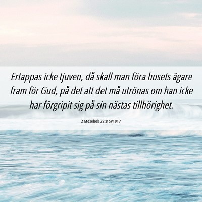 Picture 06 - 2 Mosebok 22:8 SV1917 - Ertappas icke tjuven, då skall man föra husets - Bible Verse Picture
