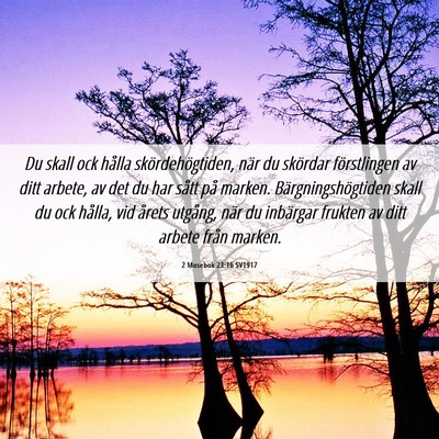 Picture 06 - 2 Mosebok 23:16 SV1917 - Du skall ock hålla skördehögtiden, när du - Bible Verse Picture