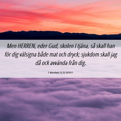 Picture 06 - 2 Mosebok 23:25 SV1917 - Men HERREN, eder Gud, skolen I tjäna, så skall - Bible Verse Picture