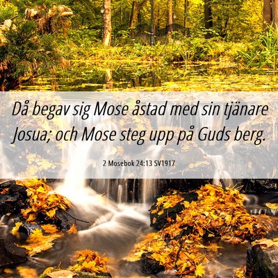 Picture 06 - 2 Mosebok 24:13 SV1917 - Då begav sig Mose åstad med sin tjänare Josua; - Bible Verse Picture
