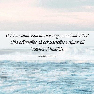 Picture 06 - 2 Mosebok 24:5 SV1917 - Och han sände israeliternas unga män åstad - Bible Verse Picture