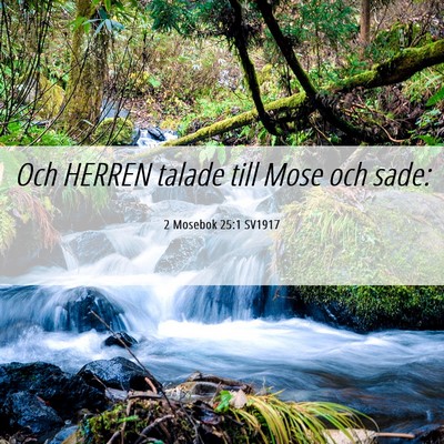 Picture 06 - 2 Mosebok 25:1 SV1917 - Och HERREN talade till Mose och - Bible Verse Picture