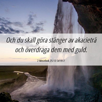 Picture 06 - 2 Mosebok 25:13 SV1917 - Och du skall göra stänger av akacieträ och - Bible Verse Picture