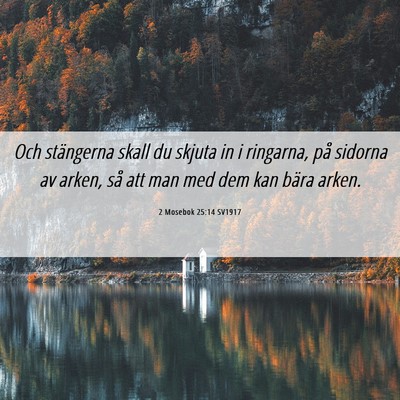 Picture 06 - 2 Mosebok 25:14 SV1917 - Och stängerna skall du skjuta in i ringarna, på - Bible Verse Picture