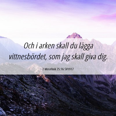 Picture 06 - 2 Mosebok 25:16 SV1917 - Och i arken skall du lägga vittnesbördet, som - Bible Verse Picture