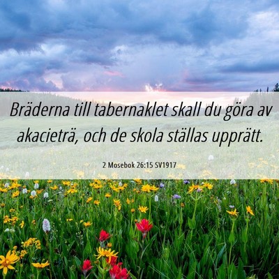 Picture 06 - 2 Mosebok 26:15 SV1917 - Bräderna till tabernaklet skall du göra av - Bible Verse Picture