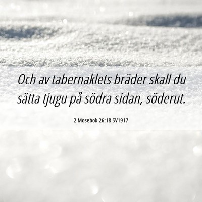 Picture 06 - 2 Mosebok 26:18 SV1917 - Och av tabernaklets bräder skall du sätta tjugu - Bible Verse Picture