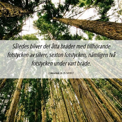 Picture 06 - 2 Mosebok 26:25 SV1917 - Således bliver det åtta bräder med - Bible Verse Picture