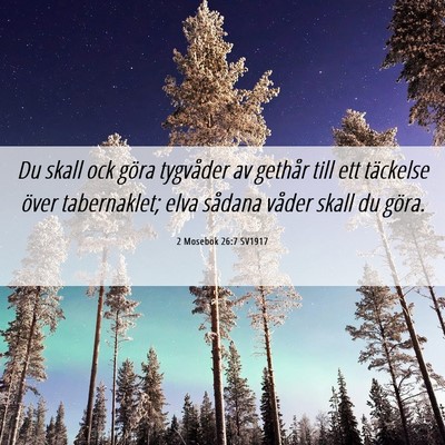 Picture 06 - 2 Mosebok 26:7 SV1917 - Du skall ock göra tygvåder av gethår till ett - Bible Verse Picture