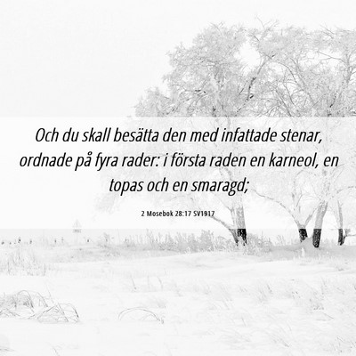 Picture 06 - 2 Mosebok 28:17 SV1917 - Och du skall besätta den med infattade stenar, - Bible Verse Picture