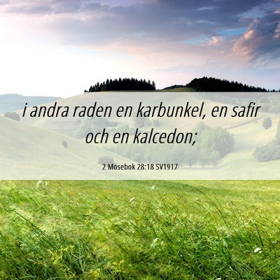 Picture 06 - 2 Mosebok 28:18 SV1917 - i andra raden en karbunkel, en safir och en - Bible Verse Picture