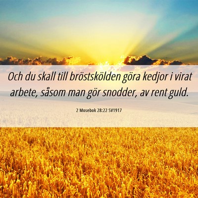 Picture 06 - 2 Mosebok 28:22 SV1917 - Och du skall till bröstskölden göra kedjor i - Bible Verse Picture