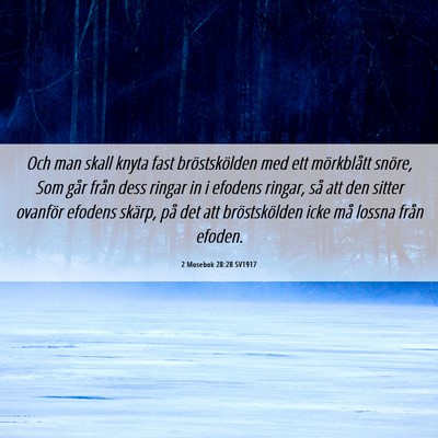 Picture 06 - 2 Mosebok 28:28 SV1917 - Och man skall knyta fast bröstskölden med ett - Bible Verse Picture