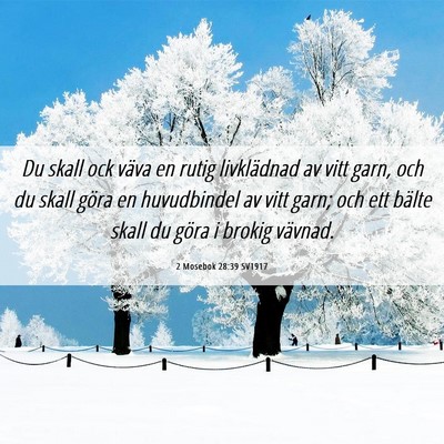 Picture 06 - 2 Mosebok 28:39 SV1917 - Du skall ock väva en rutig livklädnad av vitt - Bible Verse Picture