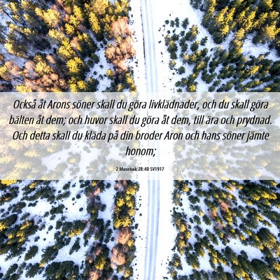 Picture 06 - 2 Mosebok 28:40 SV1917 - Också åt Arons söner skall du göra - Bible Verse Picture
