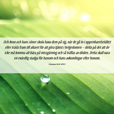 Picture 06 - 2 Mosebok 28:43 SV1917 - Och Aron och hans söner skola hava dem på sig, - Bible Verse Picture