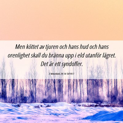 Picture 06 - 2 Mosebok 29:14 SV1917 - Men köttet av tjuren och hans hud och hans - Bible Verse Picture