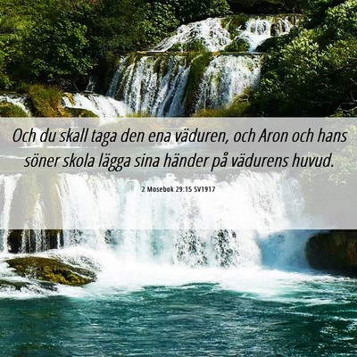 Picture 06 - 2 Mosebok 29:15 SV1917 - Och du skall taga den ena väduren, och Aron och - Bible Verse Picture