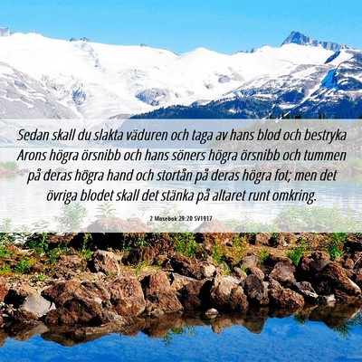 Picture 06 - 2 Mosebok 29:20 SV1917 - Sedan skall du slakta väduren och taga av hans - Bible Verse Picture