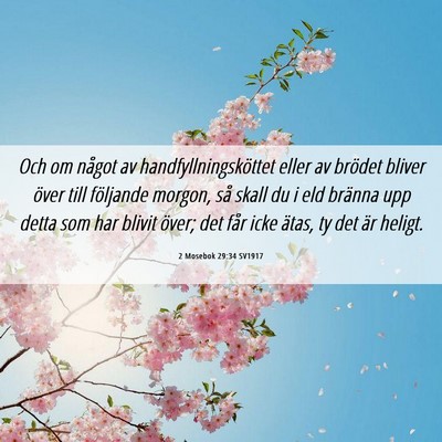 Picture 06 - 2 Mosebok 29:34 SV1917 - Och om något av handfyllningsköttet eller av - Bible Verse Picture