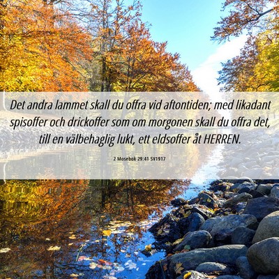 Picture 06 - 2 Mosebok 29:41 SV1917 - Det andra lammet skall du offra vid aftontiden; - Bible Verse Picture