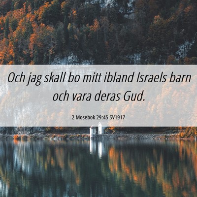 Picture 06 - 2 Mosebok 29:45 SV1917 - Och jag skall bo mitt ibland Israels barn och - Bible Verse Picture