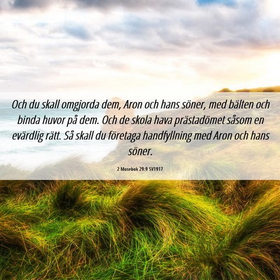 Picture 06 - 2 Mosebok 29:9 SV1917 - Och du skall omgjorda dem, Aron och hans söner, - Bible Verse Picture