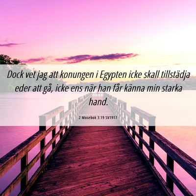 Picture 06 - 2 Mosebok 3:19 SV1917 - Dock vet jag att konungen i Egypten icke skall - Bible Verse Picture