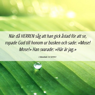 Picture 06 - 2 Mosebok 3:4 SV1917 - När då HERREN såg att han gick åstad för att - Bible Verse Picture