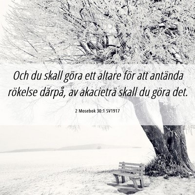 Picture 06 - 2 Mosebok 30:1 SV1917 - Och du skall göra ett altare för att antända - Bible Verse Picture