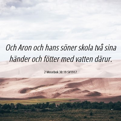 Picture 06 - 2 Mosebok 30:19 SV1917 - Och Aron och hans söner skola två sina händer - Bible Verse Picture